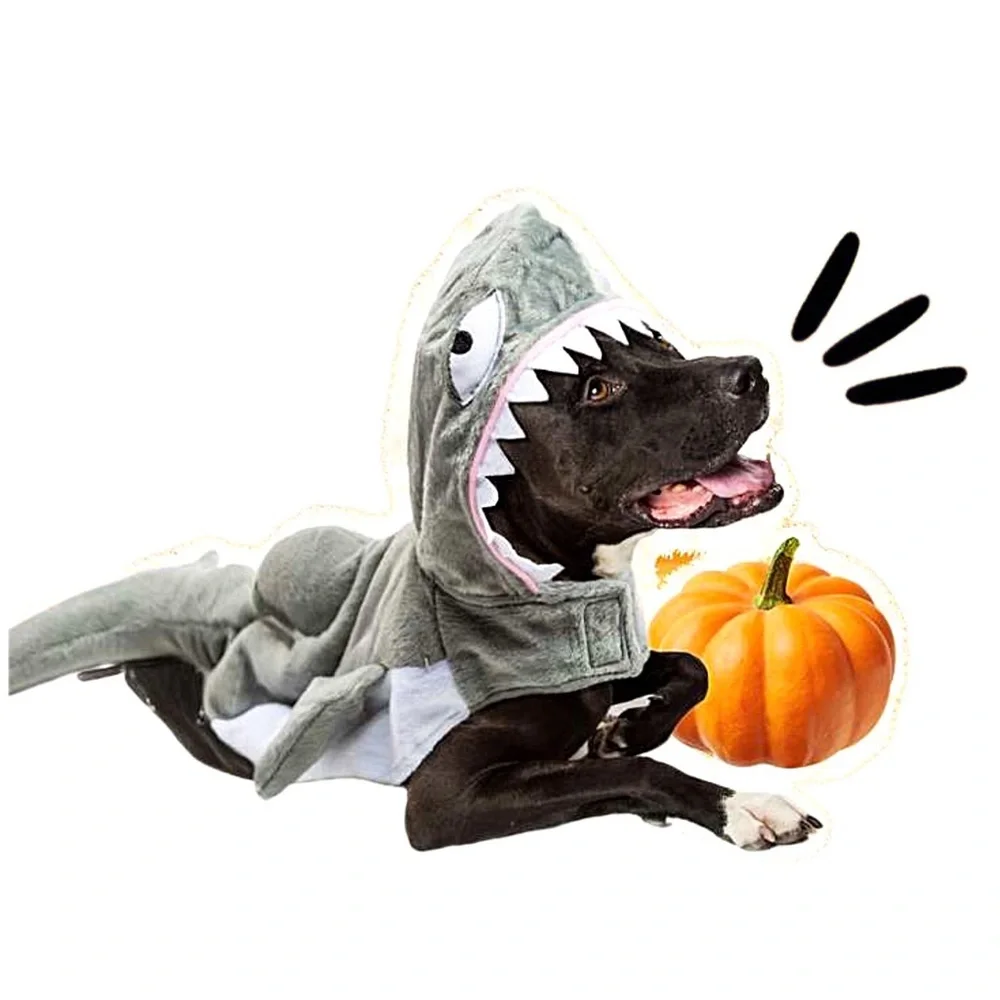 PET SHARK COSTUME